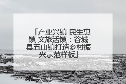 产业兴镇 民生惠镇 文旅活镇：谷城县五山镇打造乡村振兴示范样板