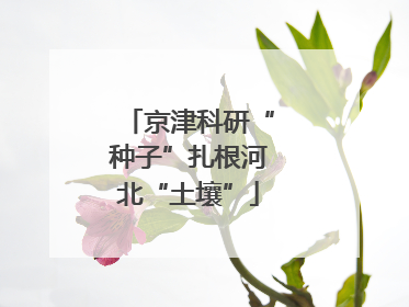 京津科研“种子”扎根河北“土壤”