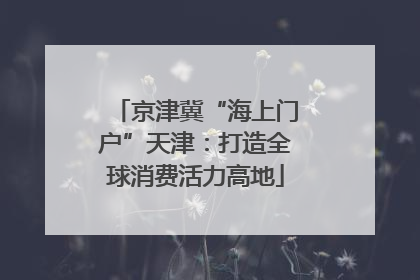 京津冀“海上门户”天津：打造全球消费活力高地