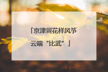 京津冀花样风筝云端“比武”