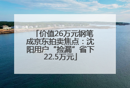 价值26万元钢笔成京东拍卖焦点：沈阳用户“捡漏”省下22.5万元