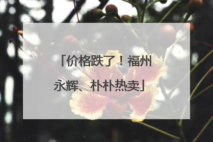 价格跌了！福州永辉、朴朴热卖