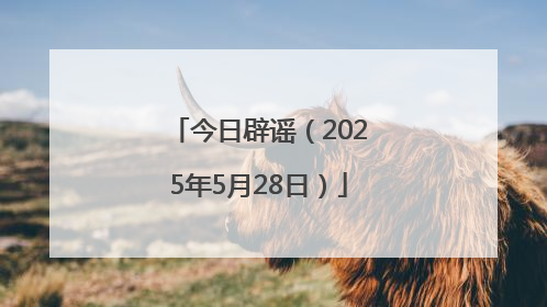 今日辟谣（2025年5月28日）