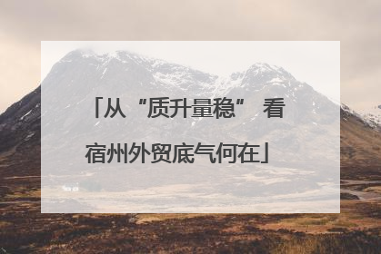 从“质升量稳” 看宿州外贸底气何在