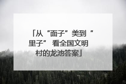 从“面子”美到“里子” 看全国文明村的龙池答案