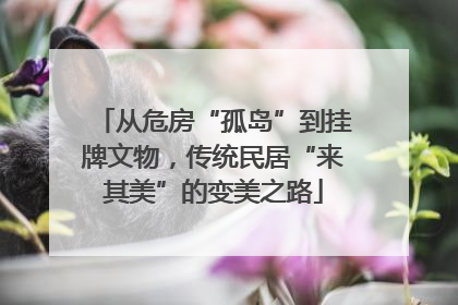从危房“孤岛”到挂牌文物，传统民居“来其美”的变美之路