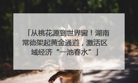 从桃花源到世界窗！湖南常德架起黄金通道，激活区域经济“一池春水”