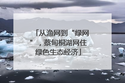 从渔网到“绿网”，蔡甸桐湖网住绿色生态经济