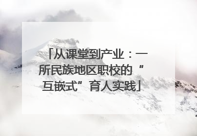 从课堂到产业：一所民族地区职校的“互嵌式”育人实践