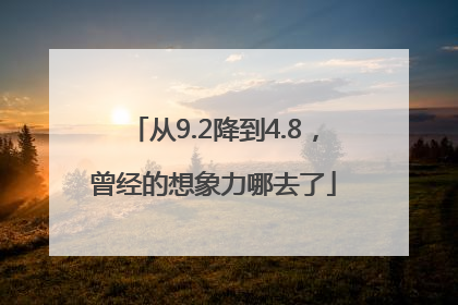 从9.2降到4.8，曾经的想象力哪去了
