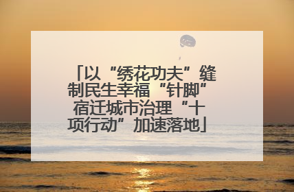 以“绣花功夫”缝制民生幸福“针脚” 宿迁城市治理“十项行动”加速落地