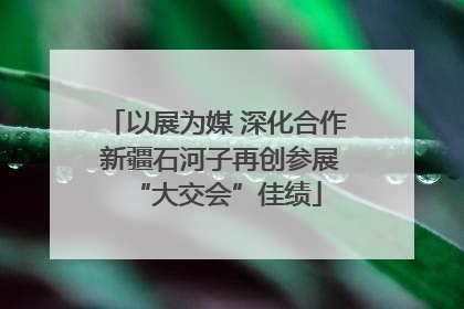 以展为媒 深化合作 新疆石河子再创参展“大交会”佳绩