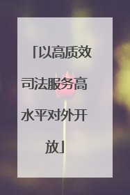 以高质效司法服务高水平对外开放