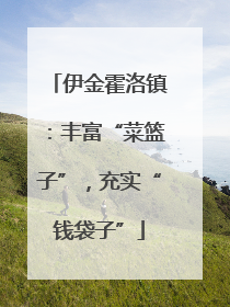 伊金霍洛镇：丰富“菜篮子”，充实“钱袋子”