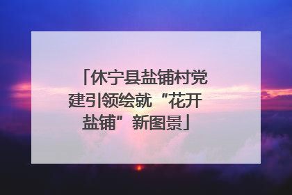 休宁县盐铺村党建引领绘就“花开盐铺”新图景