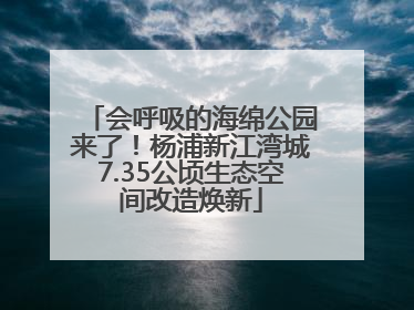 会呼吸的海绵公园来了！杨浦新江湾城7.35公顷生态空间改造焕新