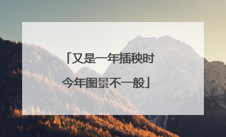 又是一年插秧时 今年图景不一般