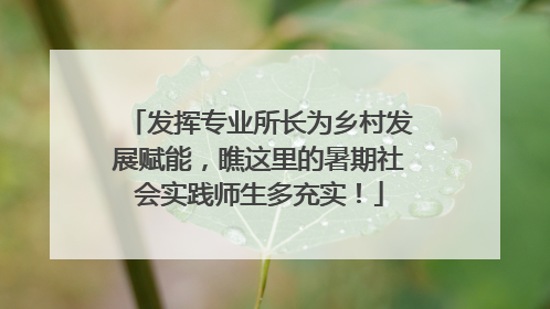 发挥专业所长为乡村发展赋能，瞧这里的暑期社会实践师生多充实！