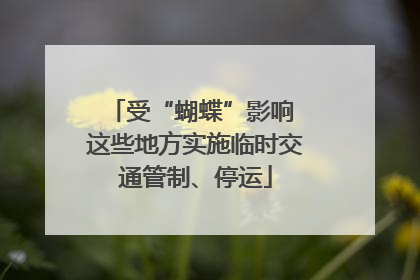 受“蝴蝶”影响 这些地方实施临时交通管制、停运