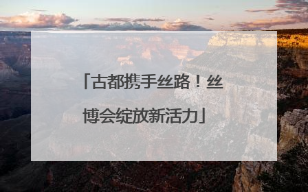 古都携手丝路！丝博会绽放新活力