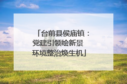 台前县侯庙镇：党建引领绘新景 环境整治焕生机