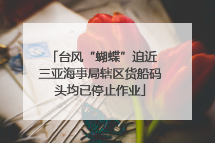 台风“蝴蝶”迫近 三亚海事局辖区货船码头均已停止作业