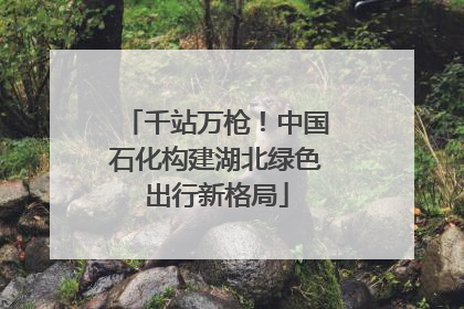 千站万枪！中国石化构建湖北绿色出行新格局