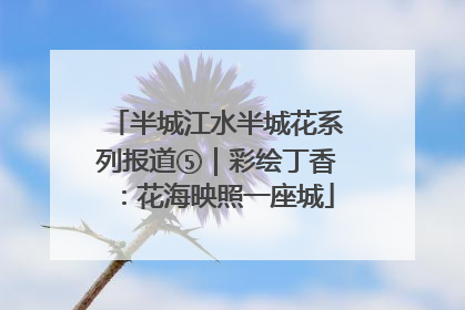 半城江水半城花系列报道⑤｜彩绘丁香：花海映照一座城