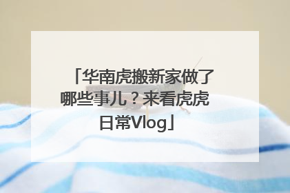 华南虎搬新家做了哪些事儿？来看虎虎日常Vlog