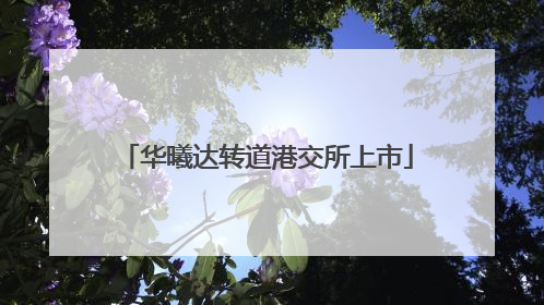 华曦达转道港交所上市