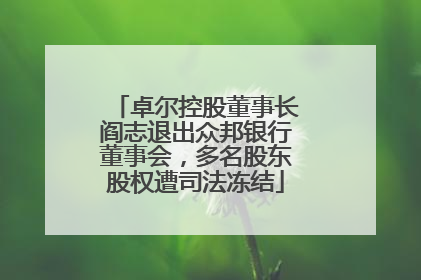 卓尔控股董事长阎志退出众邦银行董事会，多名股东股权遭司法冻结