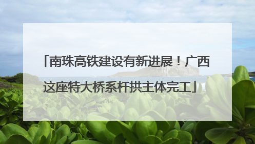 南珠高铁建设有新进展！广西这座特大桥系杆拱主体完工