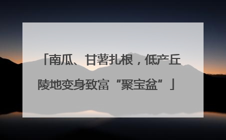 南瓜、甘薯扎根，低产丘陵地变身致富“聚宝盆”