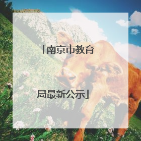 南京市教育局最新公示