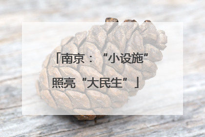 南京：“小设施”照亮“大民生”