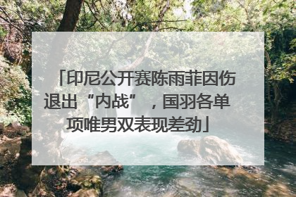 印尼公开赛陈雨菲因伤退出“内战”，国羽各单项唯男双表现差劲