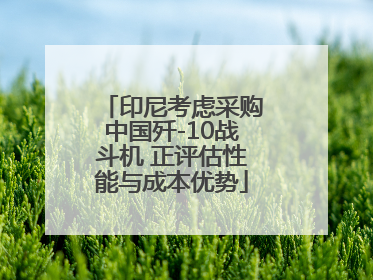 印尼考虑采购中国歼-10战斗机 正评估性能与成本优势
