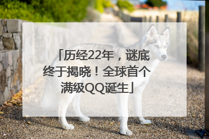 历经22年，谜底终于揭晓！全球首个满级QQ诞生