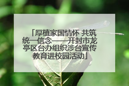 厚植家国情怀 共筑统一信念——开封市龙亭区台办组织涉台宣传教育进校园活动