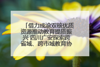 借力成渝双核优质资源推动教育提质振兴 四川广安探索跨省域、跨市域教育协同发展新路径