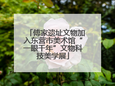 傅家遗址文物加入东营市美术馆“一眼千年”文物科技美学展
