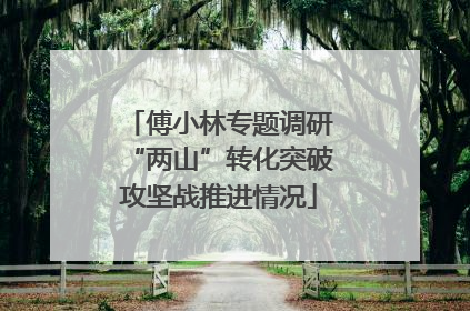 傅小林专题调研“两山”转化突破攻坚战推进情况