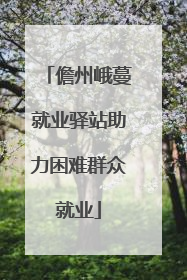 儋州峨蔓就业驿站助力困难群众就业