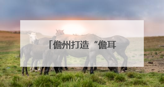 儋州打造“儋耳渔娘”劳务品牌，双征集活动赋能渔娘群体发展
