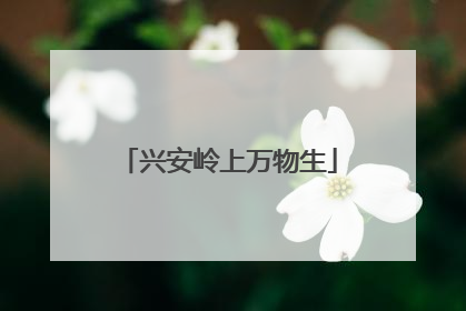 兴安岭上万物生