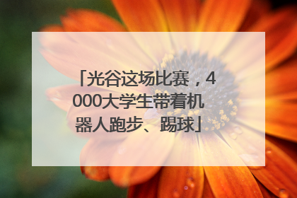 光谷这场比赛，4000大学生带着机器人跑步、踢球