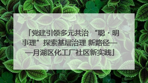 党建引领多元共治 “聪・明事理”探索基层治理 新路径——月湖区化工厂社区新实践