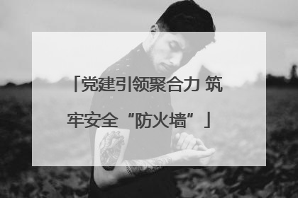 党建引领聚合力 筑牢安全“防火墙”