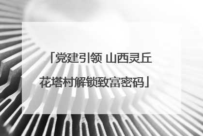 党建引领 山西灵丘花塔村解锁致富密码