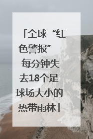 全球“红色警报”  每分钟失去18个足球场大小的热带雨林